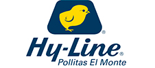 logo-hy-line